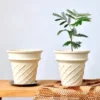 Ice cream cone shaped stoneware flower pot33