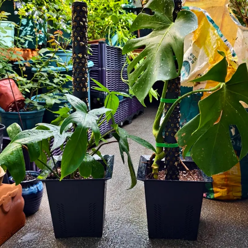 Some of the buyer show - 15cm resin anti rot flower pot 2