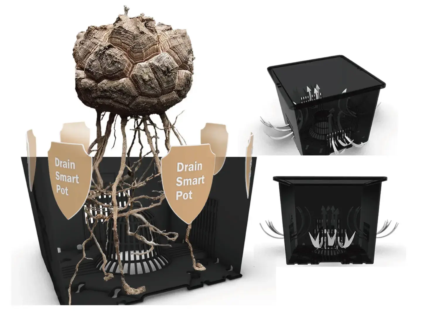 planter designed for tropical plant (1)