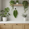 2 Novelty Green Leaf Hand Towel for Kitchen Wall Hanging