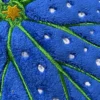 detailed picture of Blue Begonia Leaf Coral Fleece Absorbent Hanging Towel