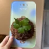 planter board-2