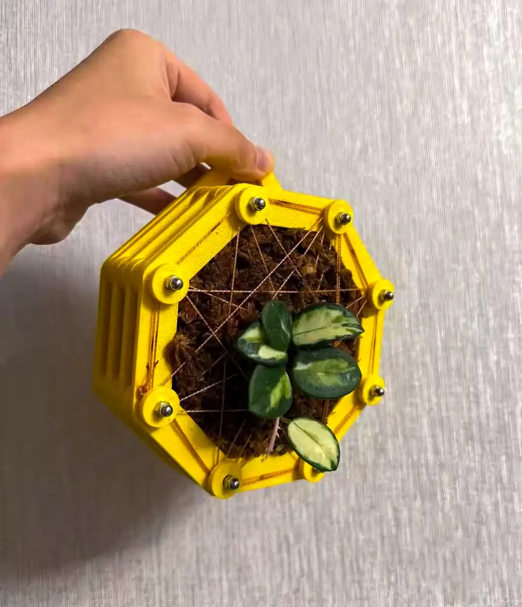 staghorn-fern-mounting