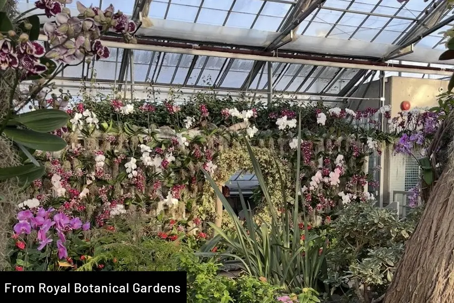 Garden ebent : Floral Showcase: Bloomland In Oz