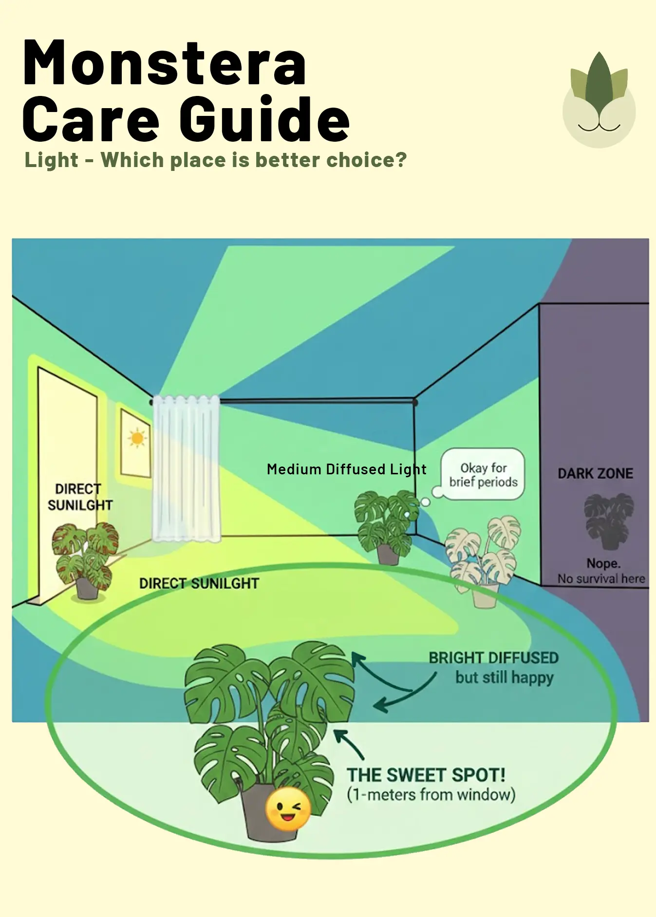 Where should i put my monstera indoor? the Light Guide 