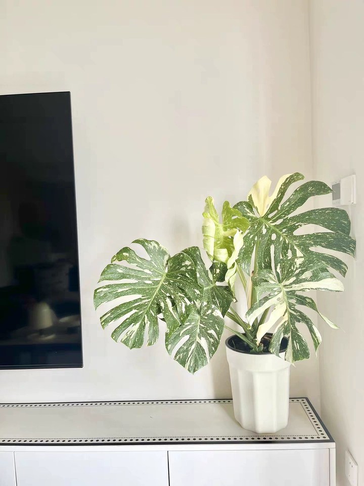 Image #1 from Chloe M