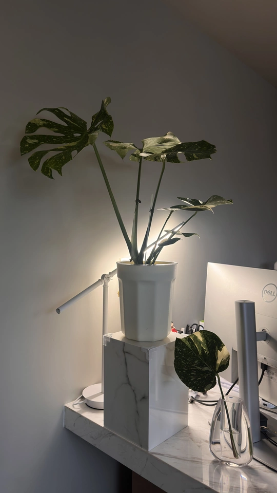 Image #1 from Ryan K