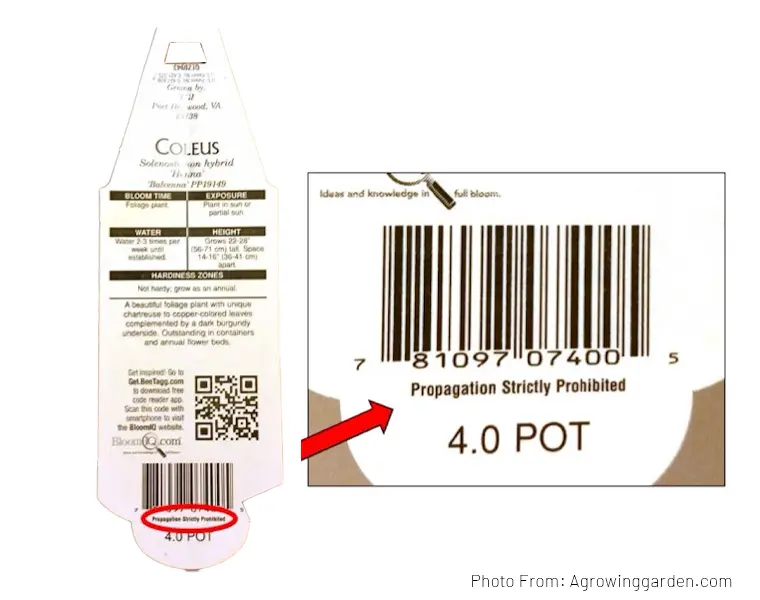 Propagation srictly prohibited label in plant tag showing that some species are not allowed and are illegal to propagate in any situations.