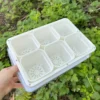 Small seeding box kit for begonia, succulent plants, seeding-2