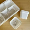Small seeding box kit for begonia, succulent plants, seeding-3