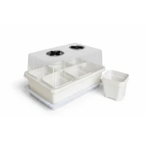 Small seeding box kit for begonia, succulent plants, seeding