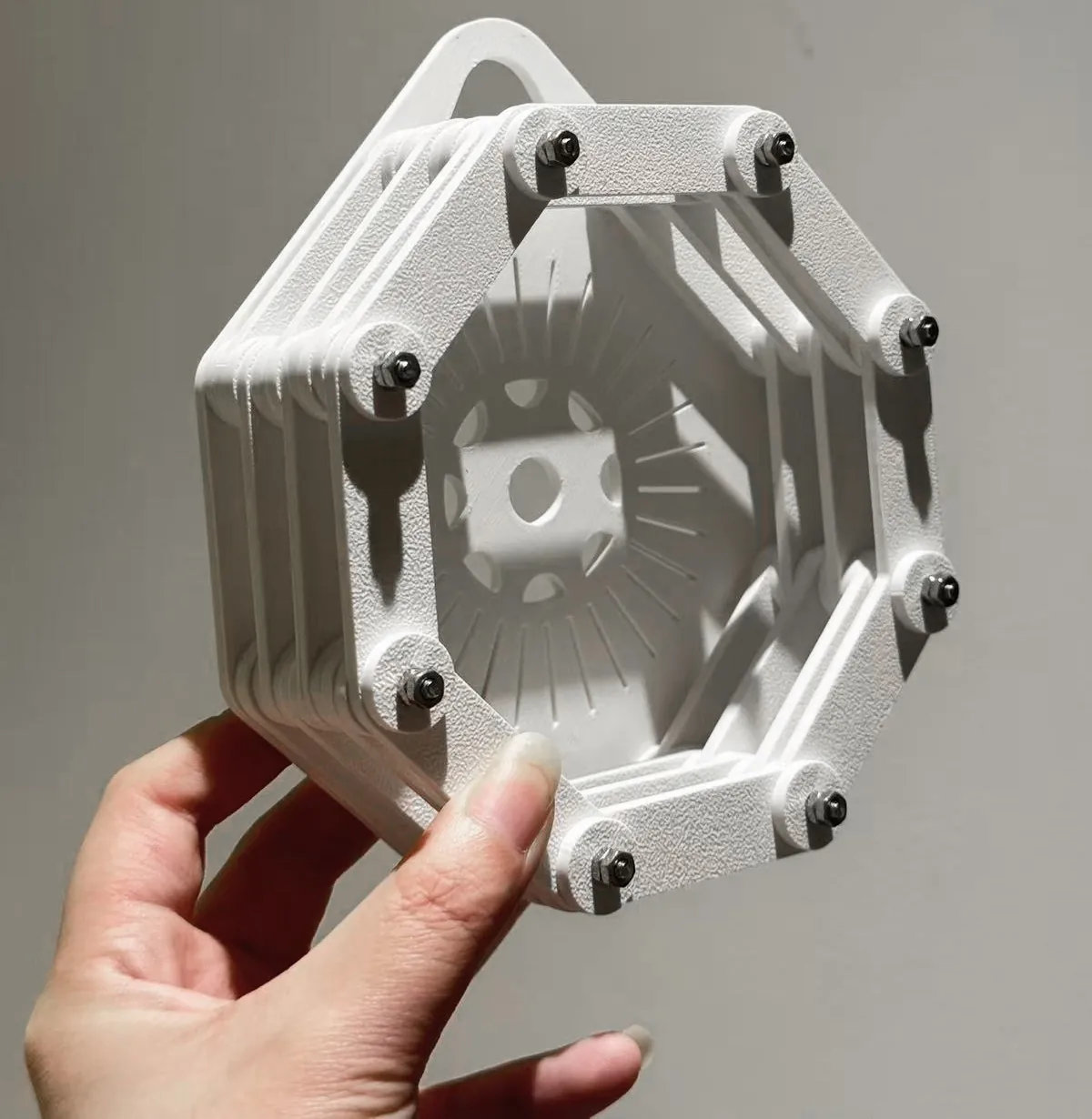 Image #1 from fernjunkie