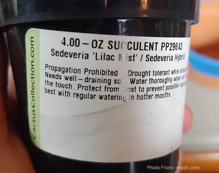 succlent pp29643 propagation prohibited label 