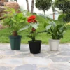 thickened-qingshan-pot-root-control-pot-1