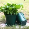 thickened-qingshan-pot-root-control-pot-2