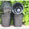 thickened-qingshan-pot-root-control-pot-4