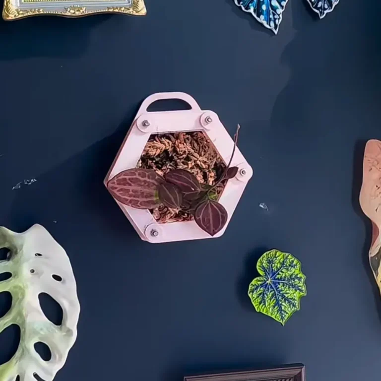 7cm Mini Size hanging planter for Mini Plant or Plant Handwork