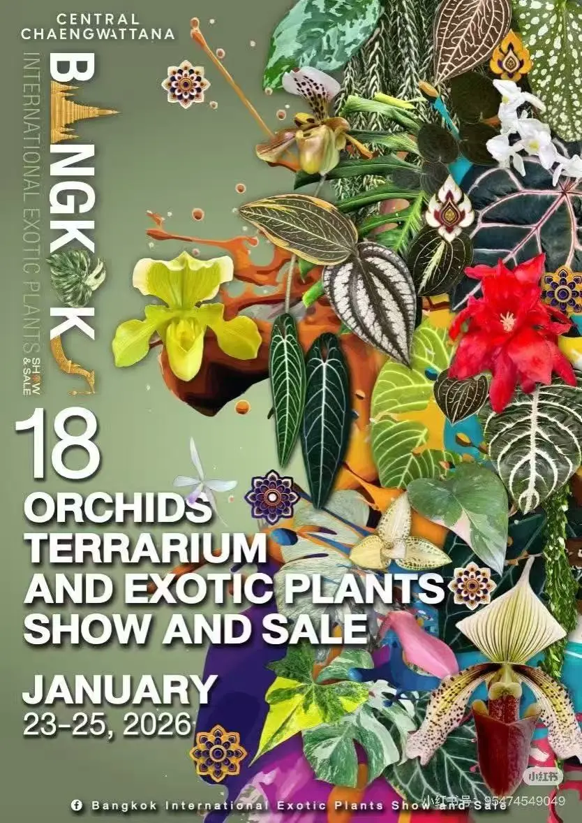 Complete 2026 visitor guide for the Bangkok International Exotic Plants Show. Dates, venue, exhibitors, plant highlights, travel tips, and buying advice.