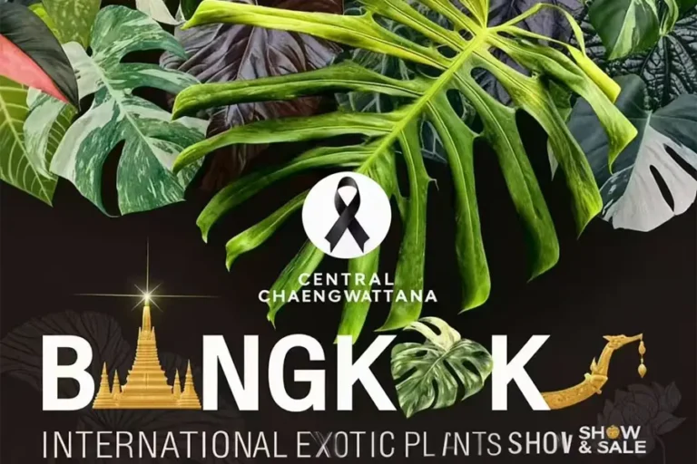 Blog Image of Plants Show 2026