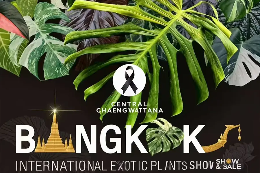 Blog Image of Plants Show 2026