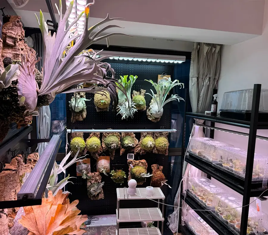 Create a propation station at home