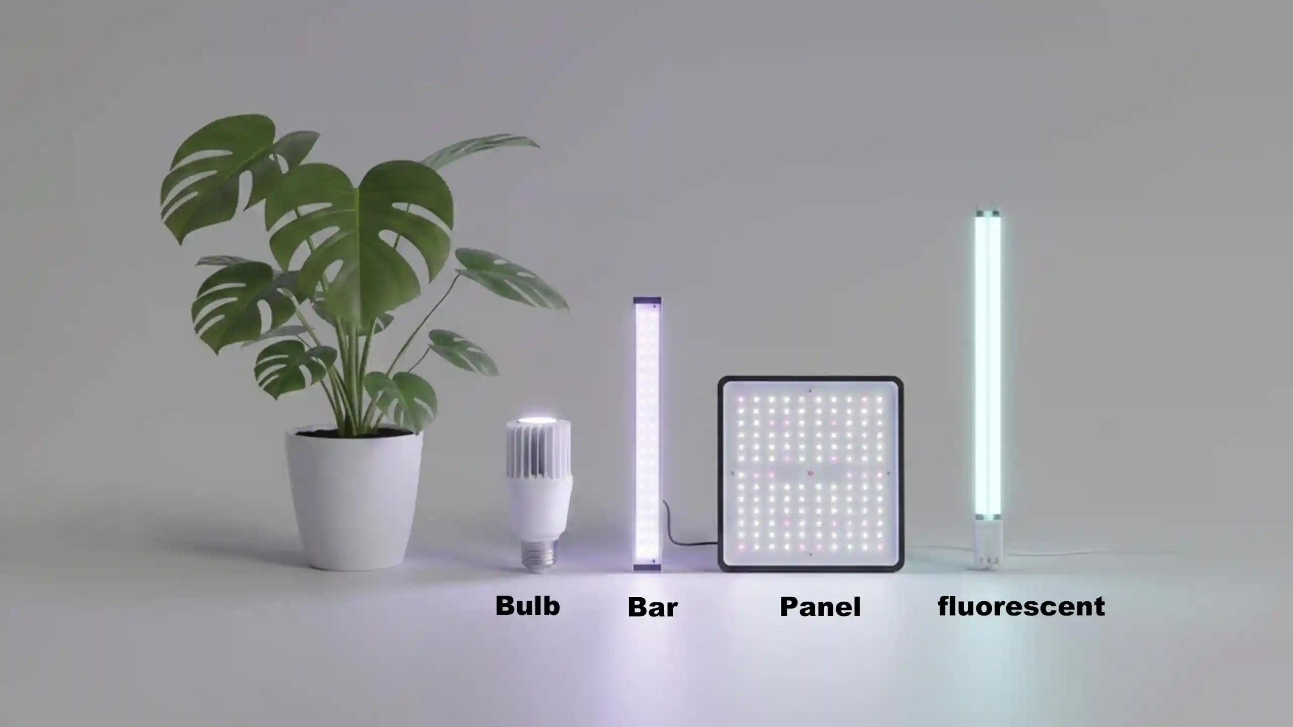 Lineup of different grow light types—LED bulb, LED bar, LED panel, and fluorescent tube