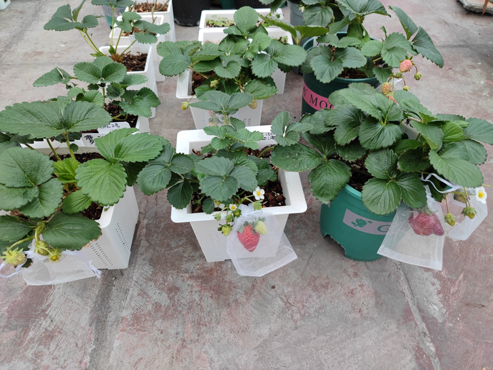 Image #1 from Oliver W