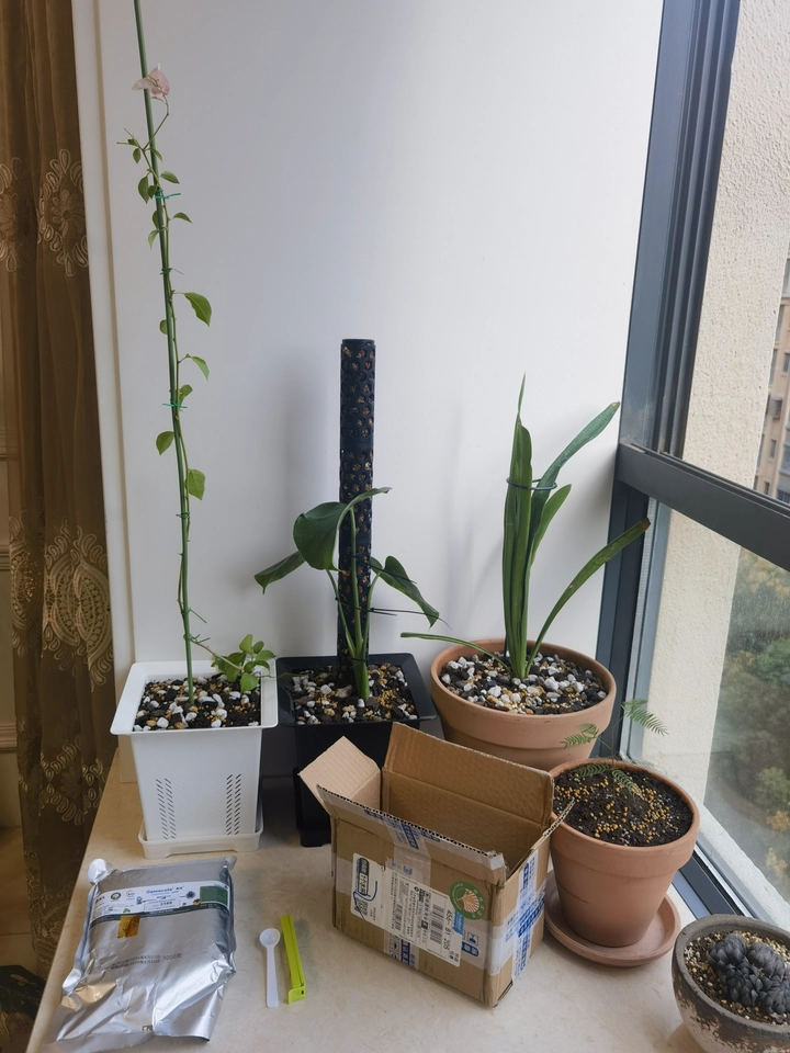 Image #1 from Caleb R