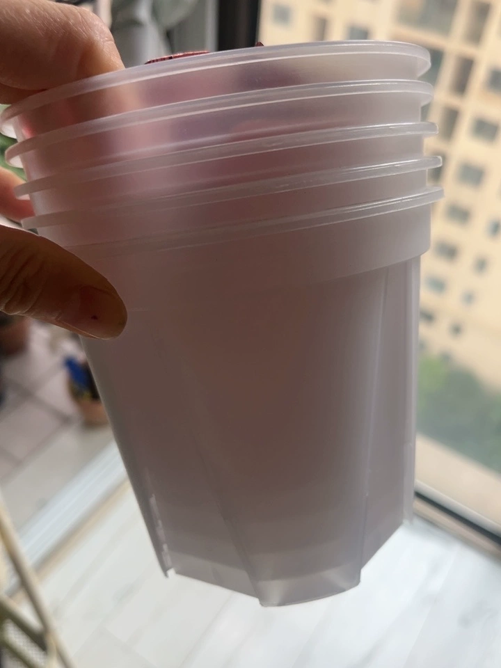 Image #1 from Noah J