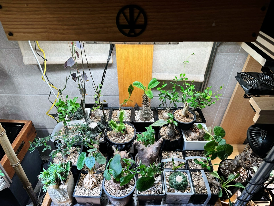 Image #1 from Isabella P