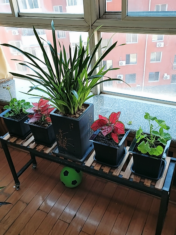 Image #1 from Ethan B