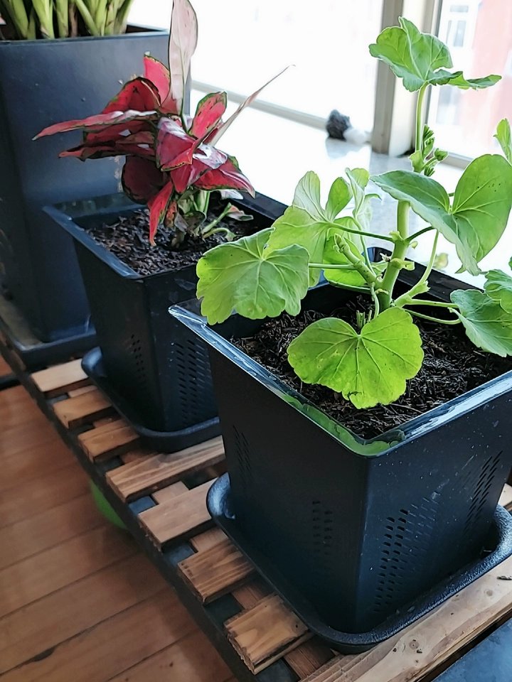 Image #3 from Ethan B