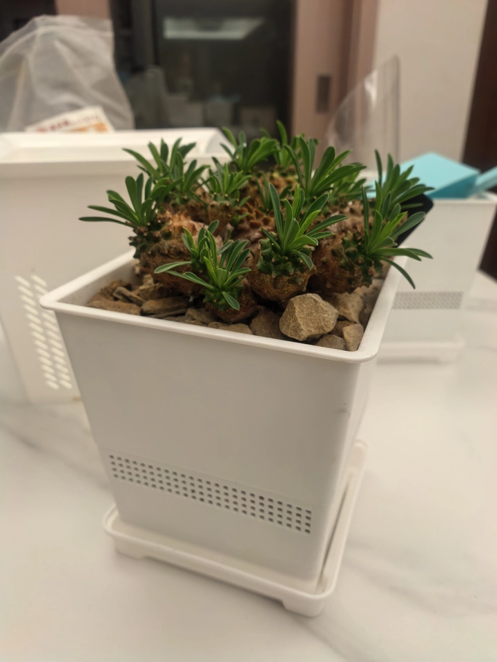 Image #2 from Grace H