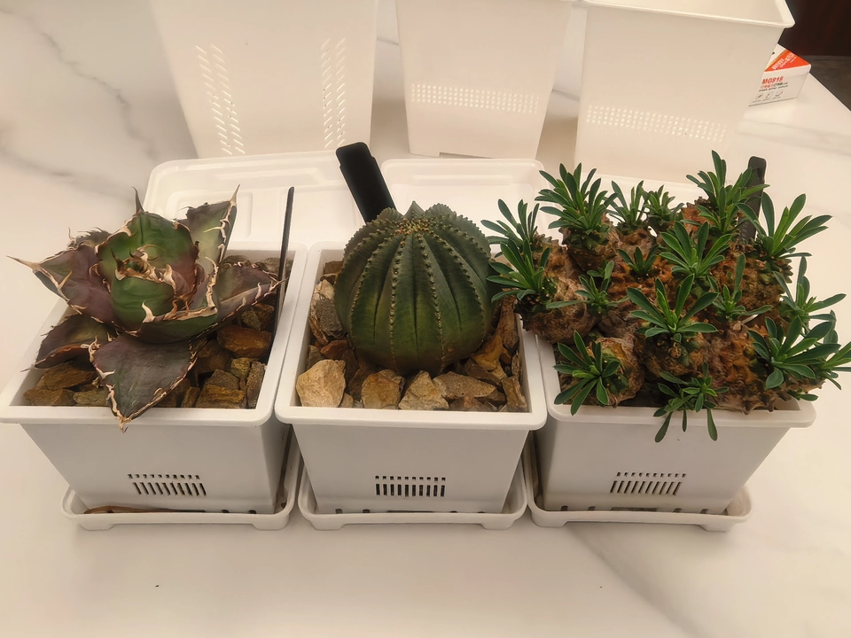 Image #3 from Grace H