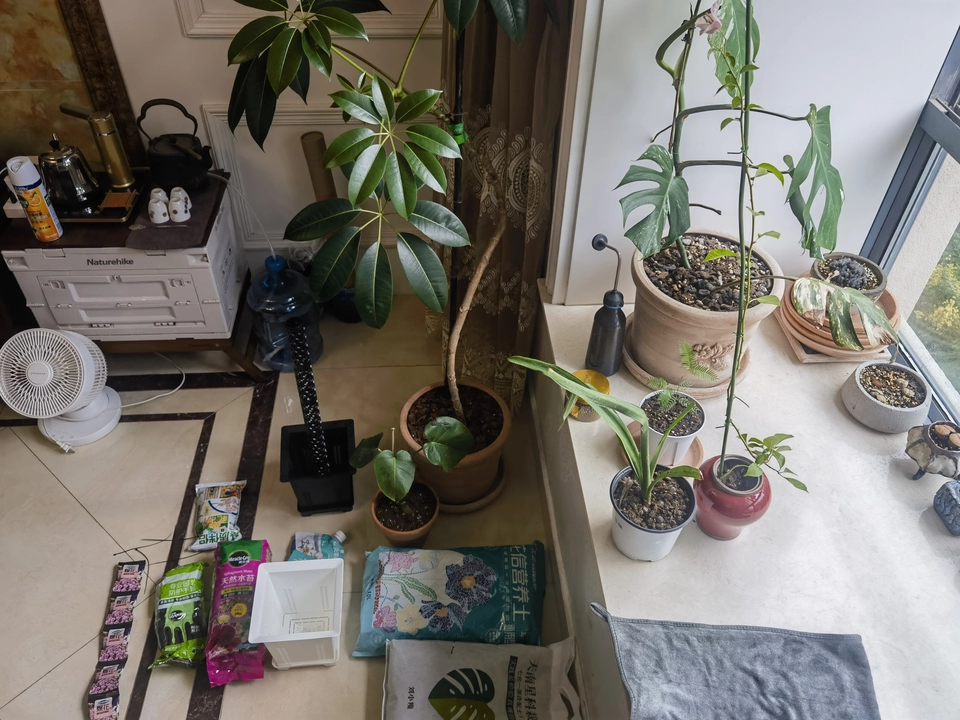 Image #2 from Caleb R