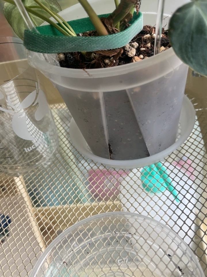 Image #2 from Noah J