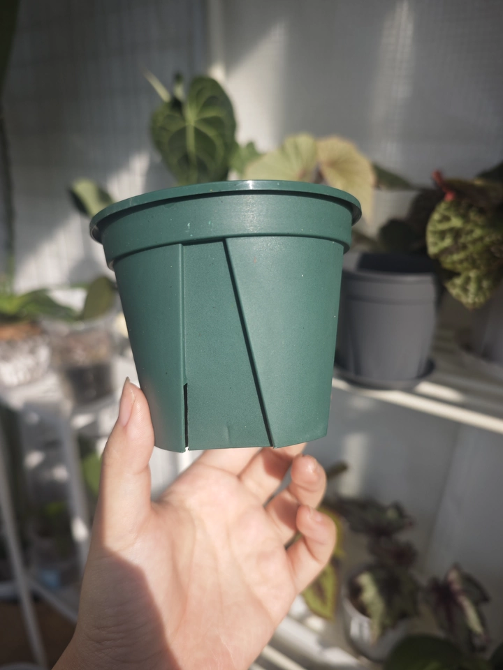 Image #1 from Sophie K