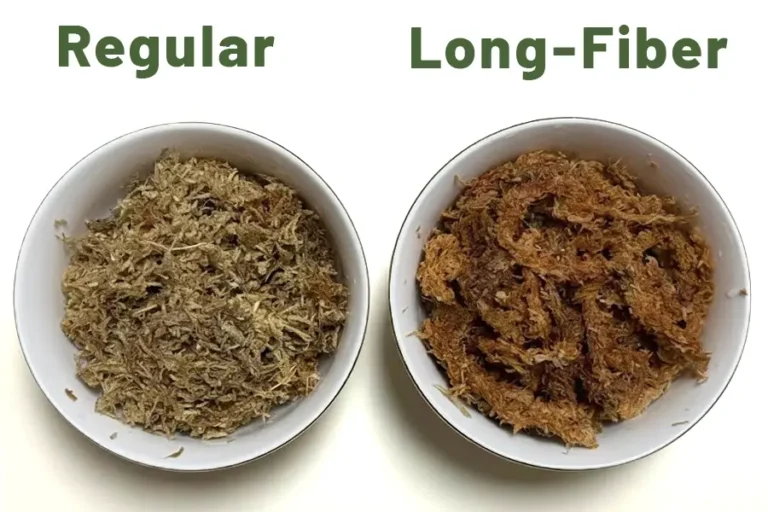 Regular sphagnum moss vs