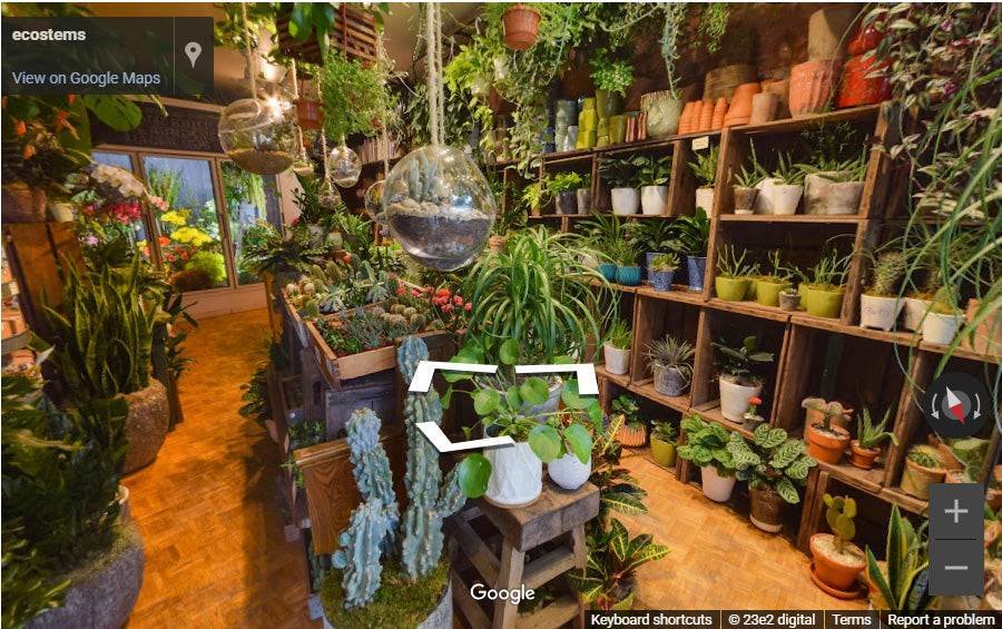 Toronto Best Houseplant shop list