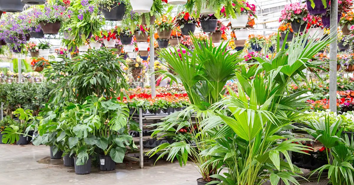 Toronto Plant Shop Vandermeer Nursery & Garden Centre (Ajax) — value + variety, often sells fast