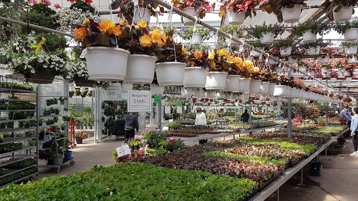 Toronto Best Plant Shops - Valleyview Gardens (Markham) — biggest “destination” greenhouse vibe
