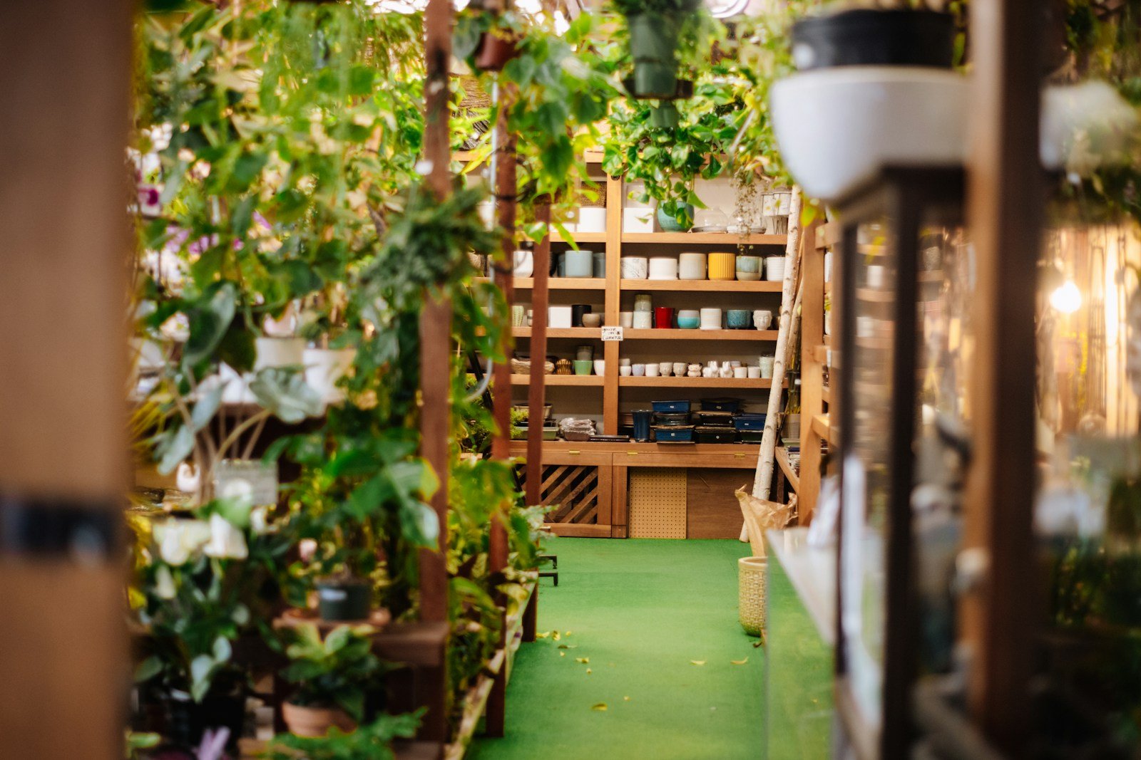 A plant shop filled with greenery (Toronto/GTA vibe).
