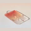 Orange Acrylic Plant Mounting Board — Angle